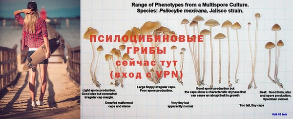 гашик Бугульма